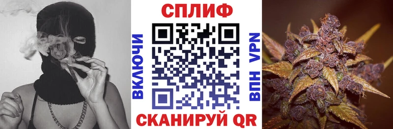 А ПВП Углич