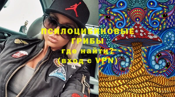 прущий лед Касимов