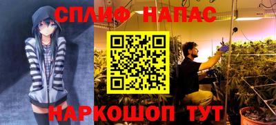 крисы Обь