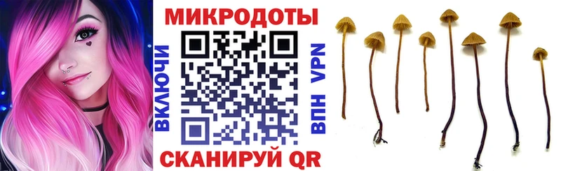 Галлюциногенные грибы Magic Shrooms  где продают наркотики  Углич 