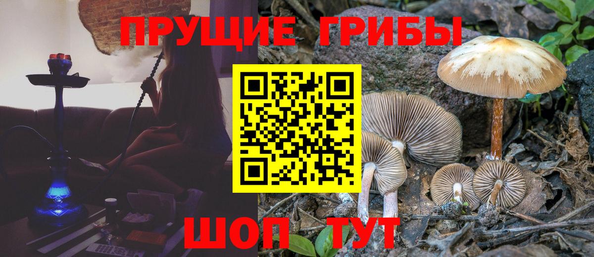 Псилоцибиновые грибы GOLDEN TEACHER  Вход с VPN  Углич 